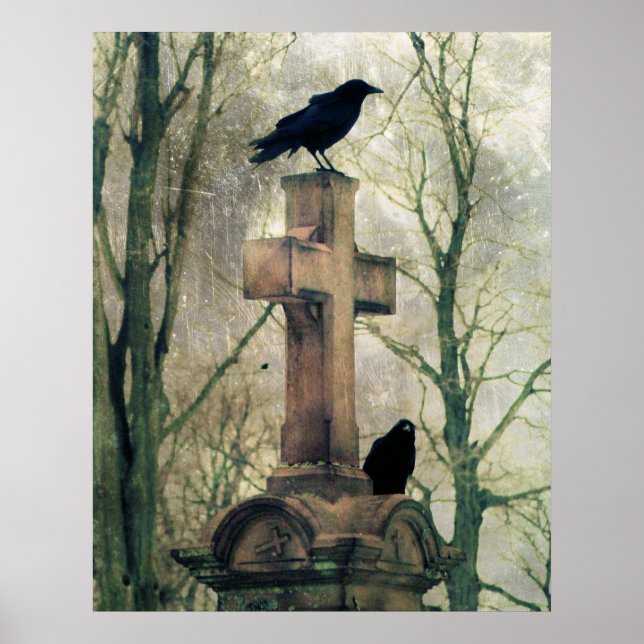 Kråkor Poster (Framsidan)