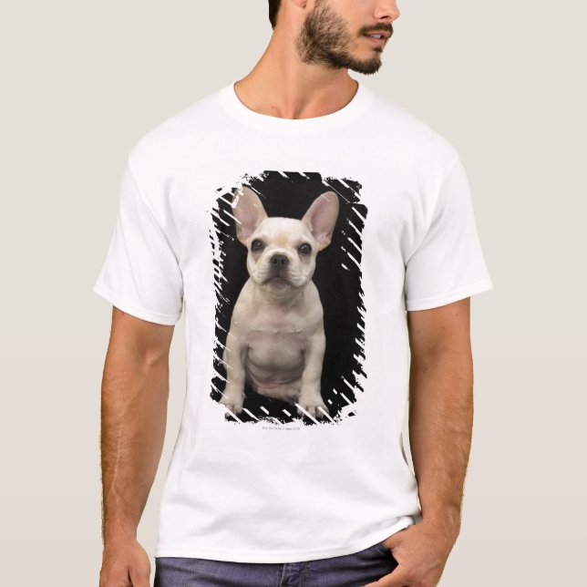 Kräm färgad fransk bulldoggvalp tee shirt (Framsida)