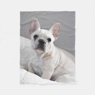 Kräm- Frenchie filt
