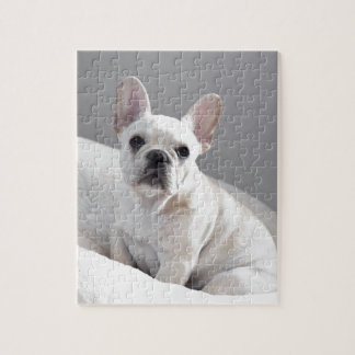 Kräm- Frenchie Pussel