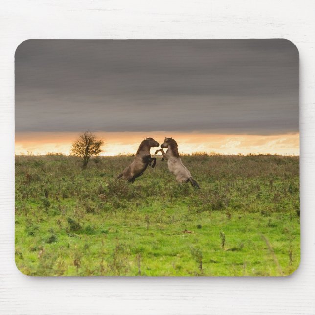 Kråma sig hästmousepad musmatta (Framsidan)