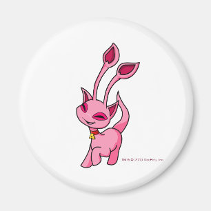 Kråma sig rosa Aisha Magnet