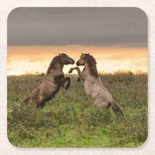 Kråma sig vildhästkustfartyget underlägg papper kvadrat