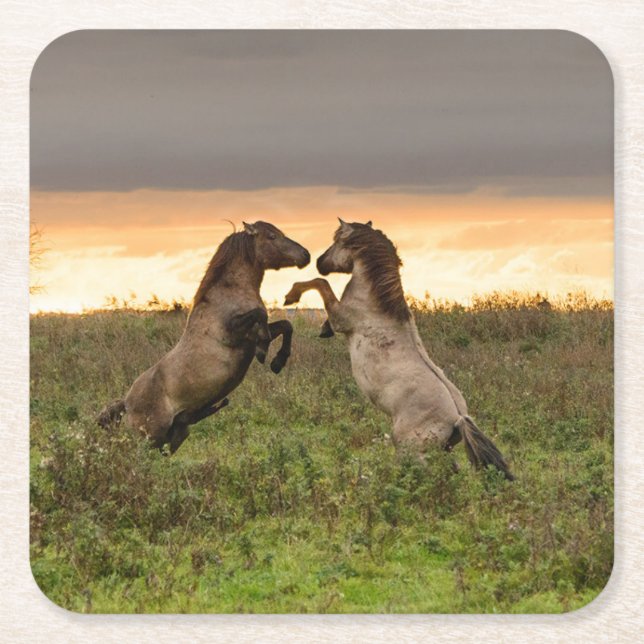 Kråma sig vildhästkustfartyget underlägg papper kvadrat (Framsidan)