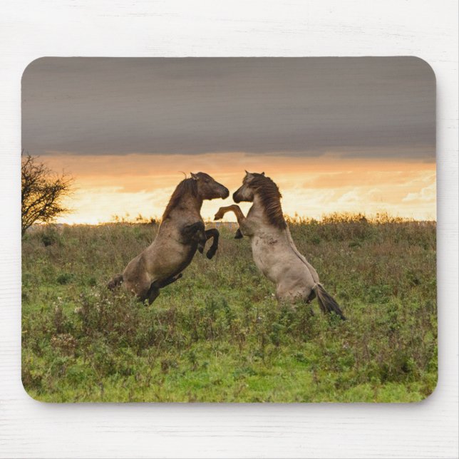 Kråma sig vildhästmousepad musmatta (Framsidan)