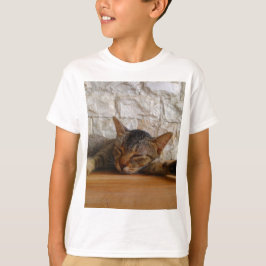 Kramar katt t shirt