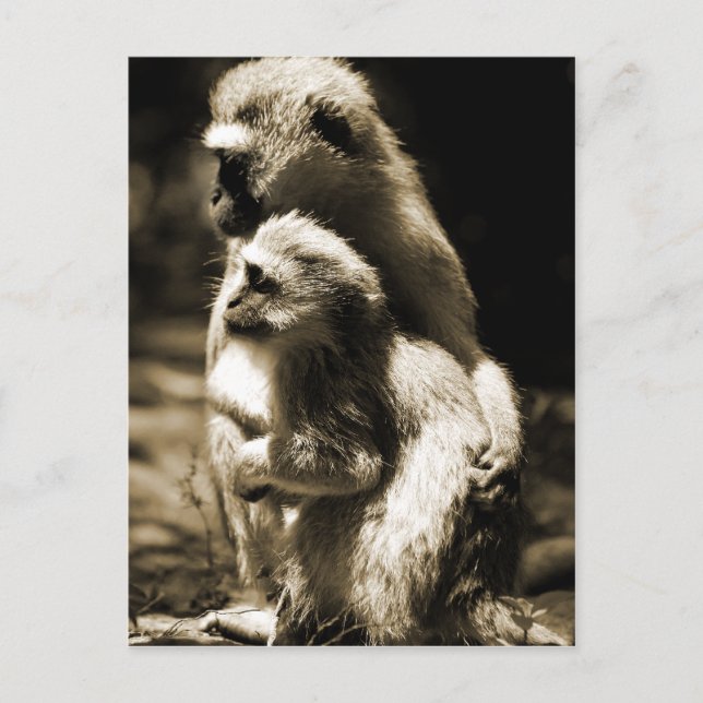 Kramar Vykort (Framsida)