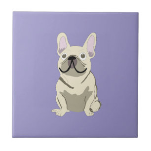 Krämfransk Bulldog, Kakelplatta