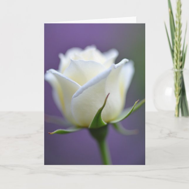 Krämigt Morsdags Blomsterkort Kort (Framsida)
