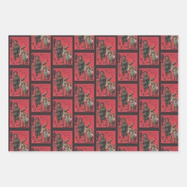 Krampus Wrapping Papper Set 2