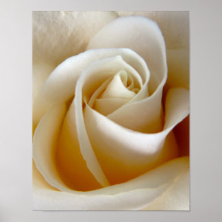 Krämrosa bröllopsfoto poster