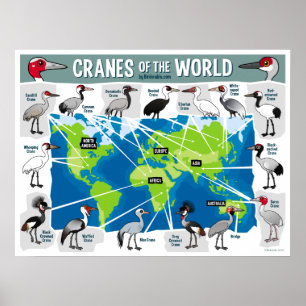 Kranar av världen poster