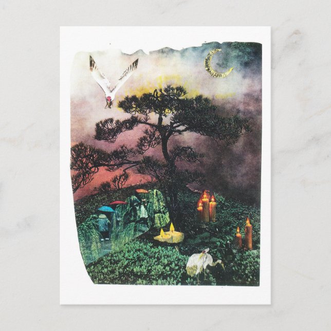 kranar vykort (Framsida)