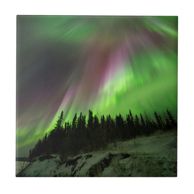 Kranaurora Kakelplatta (Framsidan)