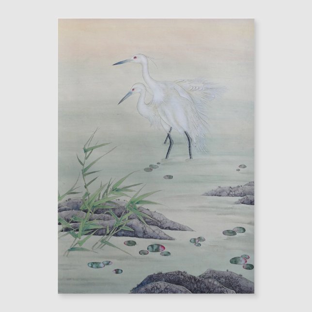 Kraner i kinesiska floden (Framsida)