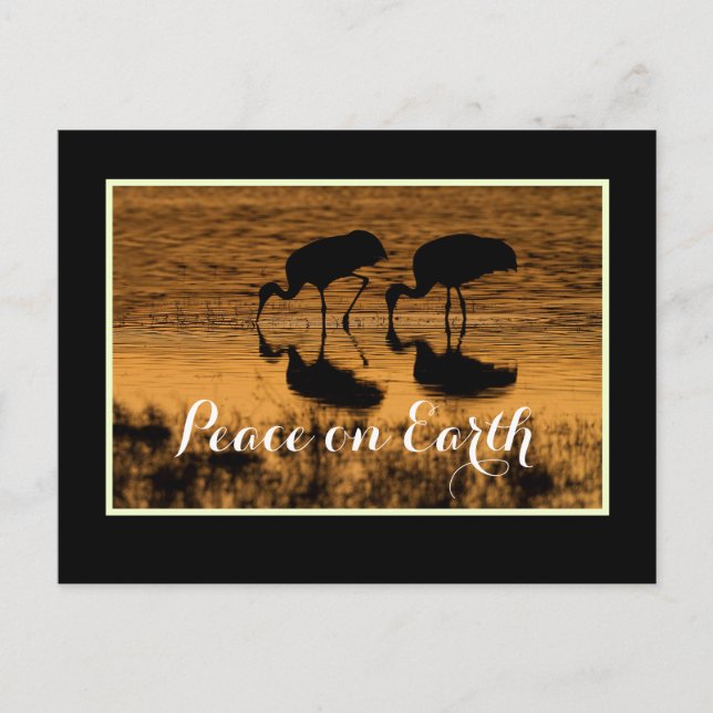 Kraner och fred på jorden med gräns vykort (Framsida)