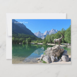 Kranjska Gora Slovenien Vykort
