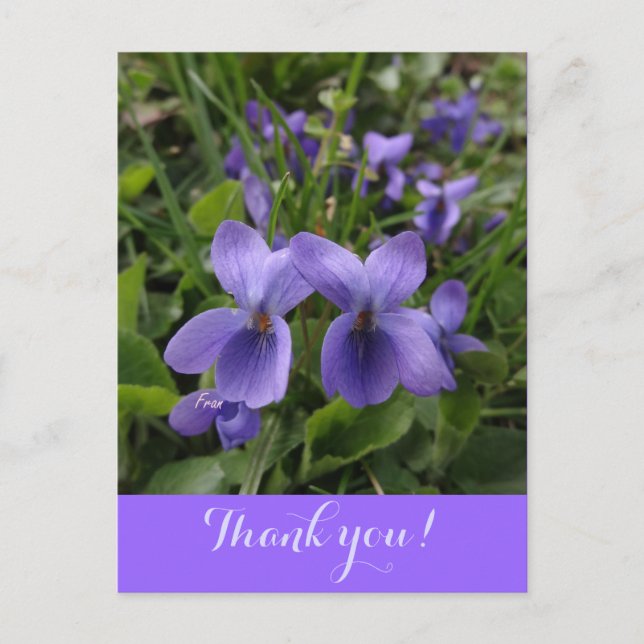 kränkning vykort (Framsida)