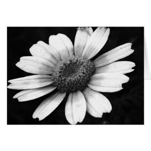 Kränsblomma Hälsningskort