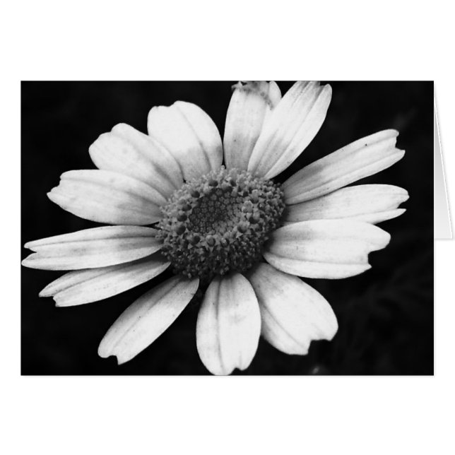 Kränsblomma Hälsningskort (Framsidan Horizontal)