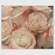 Kransminiatyr Rosa 'Cream' & röda kanter Matt pres