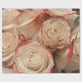 Kransminiatyr Rosa 'Cream' & röda kanter Matt pres Presentpapper