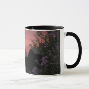 Kräppmyrten och solnedgång mugg