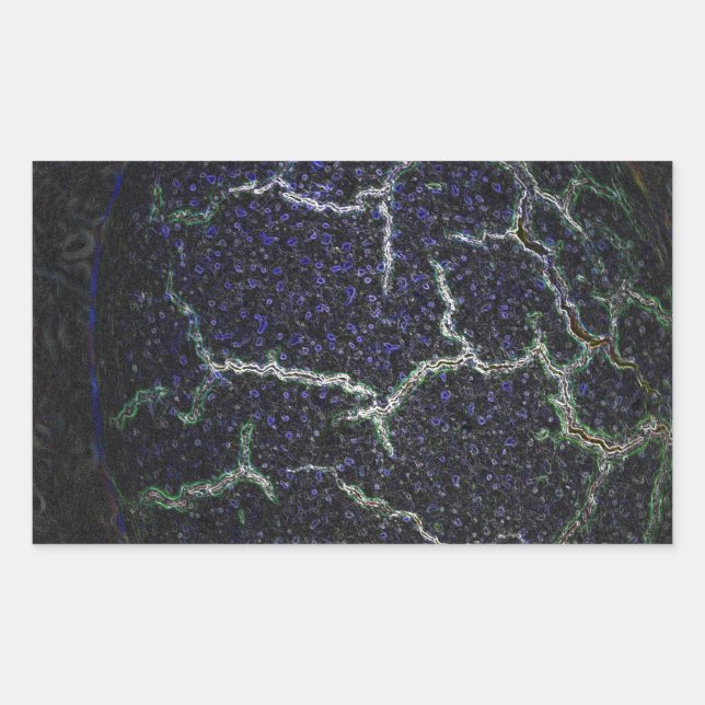 kraschar snäcka rektangulärt klistermärke (Framsida)