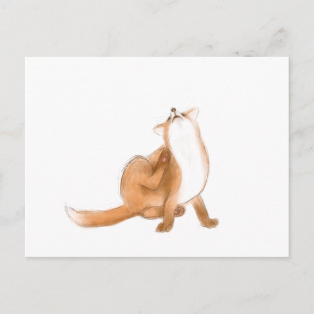 Kratande räv vykort (Framsida)