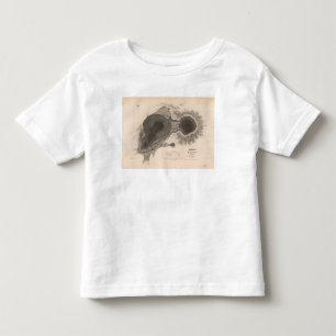 Krater av Kilauea, Hawaii Tee