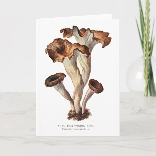 Kraterellus cornucopioides kort (Framsida)