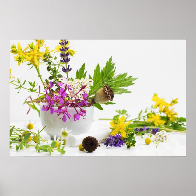 Kräutergarten Poster (Framsidan)