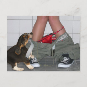 Krävs med min Byxor ner igen, Cute Puppy Hund Vykort