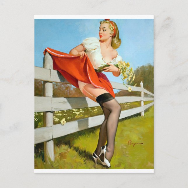 Krävs vid Fence Pin Up Vykort (Framsida)