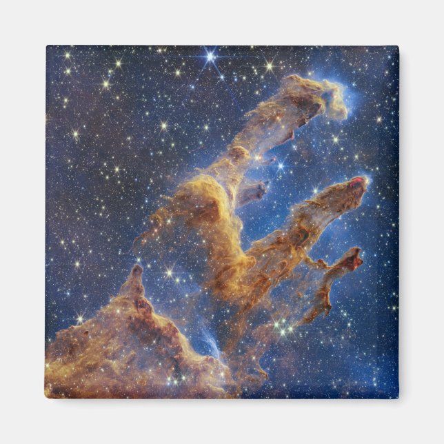 Kreationspelarerna ser ut som T-Rex Magnet (Framsidan)