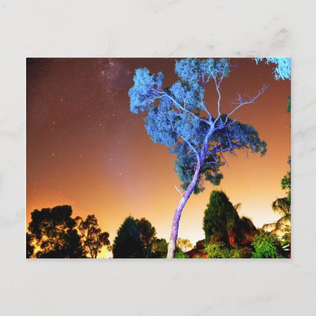 Kreativ Biet Vykort (Framsida)