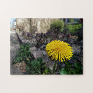 Kreativ dandelion-blommans fotopussel