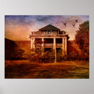 Kreativ Galenhett asyl Poster