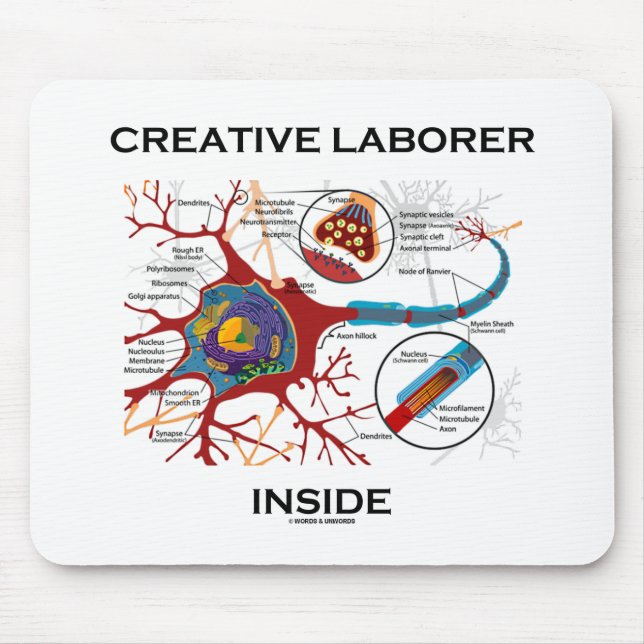 Kreativ Laborer Inside (Neuro/Synapse) Musmatta (Framsidan)