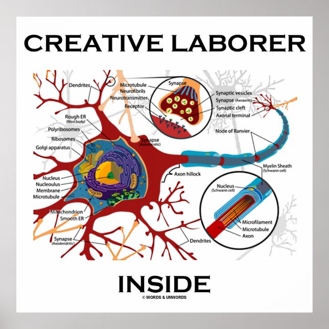 Kreativ Laborer Inside (Neuron/Synapse) Poster (Framsidan)