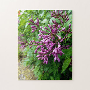 Kreativ Light lila lilac-fotopussel Pussel
