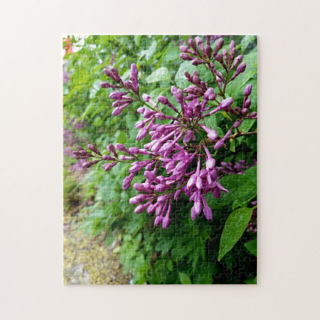 Kreativ Light lila lilac-fotopussel Pussel (Vertikal)