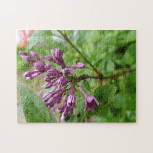 Kreativ Light lila lilac-fotopussel Pussel