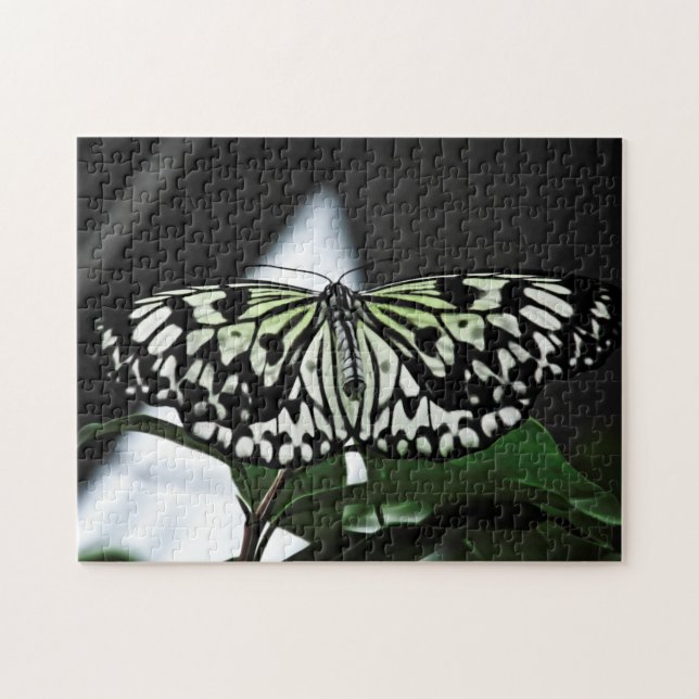 Kreativ mönster pussel (Horisontell)