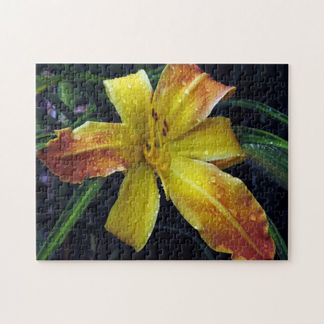 Kreativ mönster pussel (Horisontell)