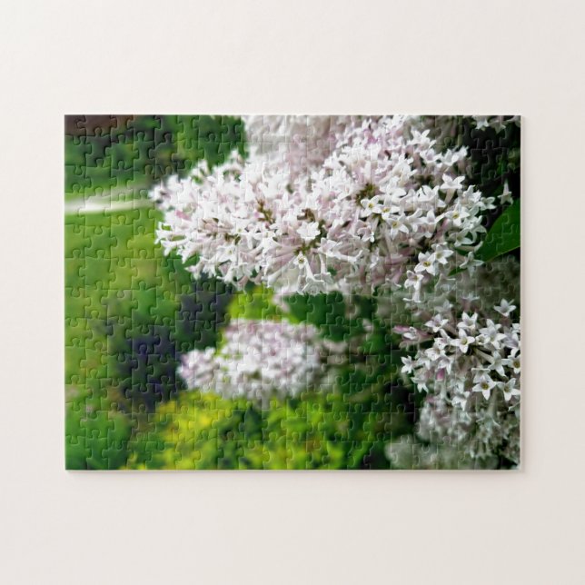 Kreativ vild blomsterpromenad fotopussel (Horisontell)
