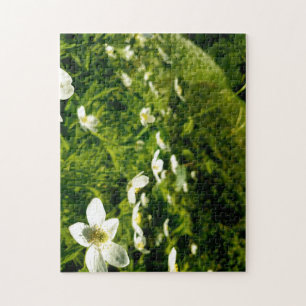 Kreativ vild blomsterpromenad fotopussel