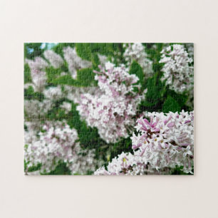 Kreativ vild blomsterpromenad fotopussel