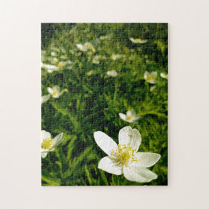Kreativ vild blomsterpromenad fotopussel