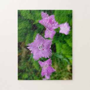 Kreativ vild blomsterpromenad fotopussel